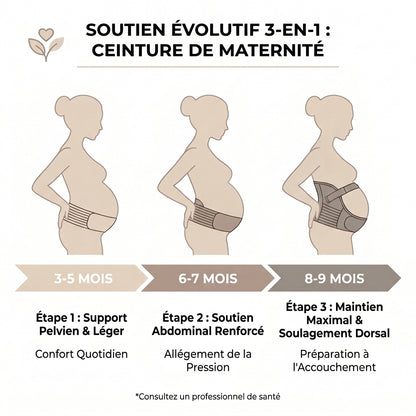 Ceinture Cocon - Grossesse & Post-Partum